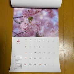 【新品未使用品】NTT東日本 カレンダー 2026 日本の風景写真の画像