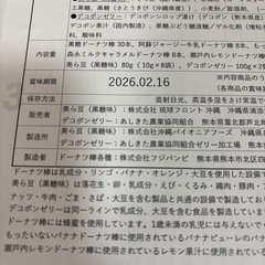 フジバンビ 南の国から30の画像