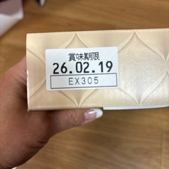 ロイスダール エクセレントギフト ex305の画像