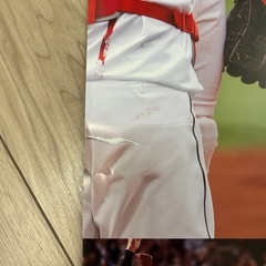 カープカレンダー2026の画像