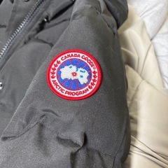 【交渉受付中】カナダグースダウンの画像