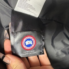 【交渉受付中】カナダグースダウンの画像