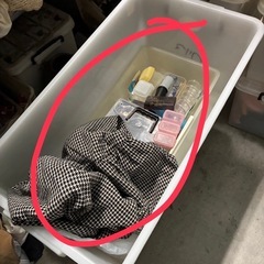 無料(確認事項あり‼︎!)の画像