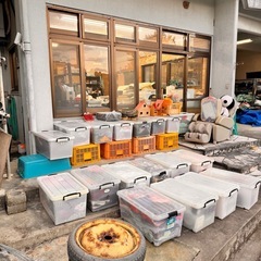 無料(確認事項あり‼︎!)の画像