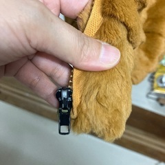 レディースコート①の画像