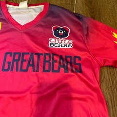 バレーボール　デサントズボン160、東京グレートベアーズTシャツの画像