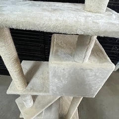 キャットタワー   猫の画像