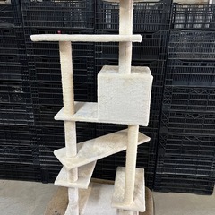 キャットタワー   猫の画像