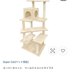 キャットタワー   猫の画像