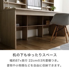 LOWYA(ロウヤ)大型パソコンデスクの画像