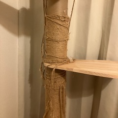キャットタワーの画像
