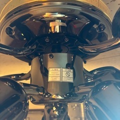 羽付きシーリングライトの画像