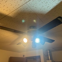 羽付きシーリングライトの画像