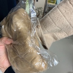 レディースコート⑤の画像