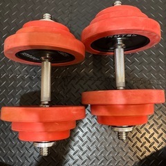 《美品》IROTEC ダンベル 20kg✖️2 計40kgの画像