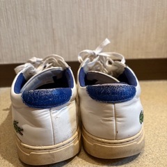 ラコステ26.5使用感ありの画像