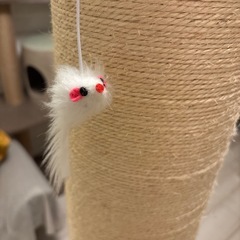 リコメン堂 爪とぎ 高さ120cm 極太 直径20cm ハイタイプ ペット用品 キャットツリー ベージュ (麻縄巻き)の画像