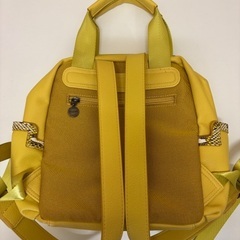 Desigual（デシグアル）バックパック TALISMAN RANDERS MINI （イエロー）の画像