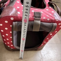 ペットキャリーの画像