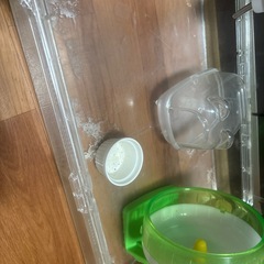 小動物ケース小物セットの画像