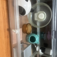 小動物ケース小物セットの画像