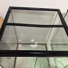 グラステラリウム 4560 GEX 爬虫類ケージの画像