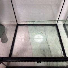 グラステラリウム 4560 GEX 爬虫類ケージの画像