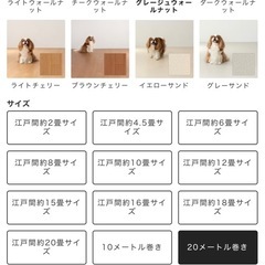 クッションマット♡の画像