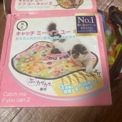 猫のおもちゃの画像