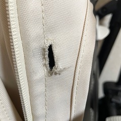 buguboo bee6 バガブー ビー6 ベビーカー　【レインカバー付き】の画像