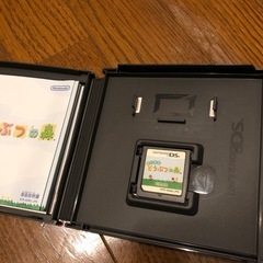 DSどうぶつの森の画像