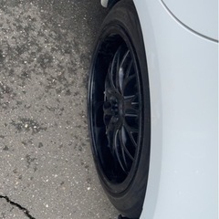 ロクサーニマルチフォルケッタの画像