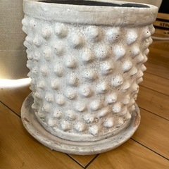 植木鉢　まとめ売りの画像