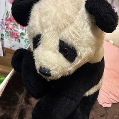 熊のぬいぐるみ🐻大の画像