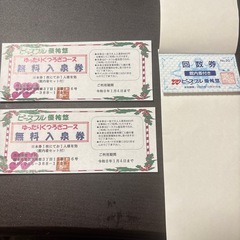 ピースフル優祐悠　無料券　有効期限1月4日の画像