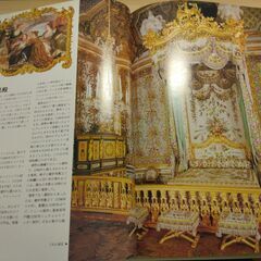 『ヴェルサイユ』ダニエル・メイエールの画像