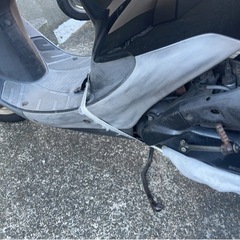 原付ホンダ DIO AF35の画像