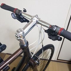 GIANT ESCAPE R3 エスケープR3 ブラウントーン 2012年モデル ギア3×8sの画像