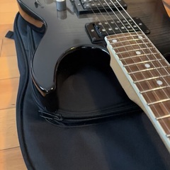 Chatting Bird by Caparison CDE-HH-FMの画像