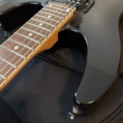 Chatting Bird by Caparison CDE-HH-FMの画像