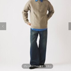 ジャーナルスタンダードのニットの画像