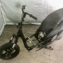 シグナス　4型　の画像