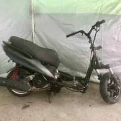 シグナス　4型　の画像