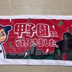 広島東洋カープ　甲子園限定　タオル　カープ坊や 甲子園に行ってきましたの画像