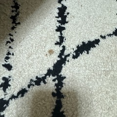 unico ウニコ HIMAYA ハイマヤラグの画像