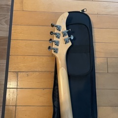 Chatting Bird by Caparison CDE-HH-FMの画像