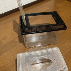 虫かご・水槽の画像