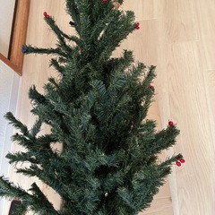 クリスマスツリーの画像