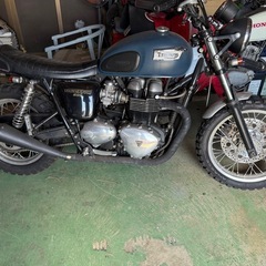 トライアンフ　スラクストン900
の画像