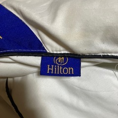 洗える羽毛掛け布団夏用の画像